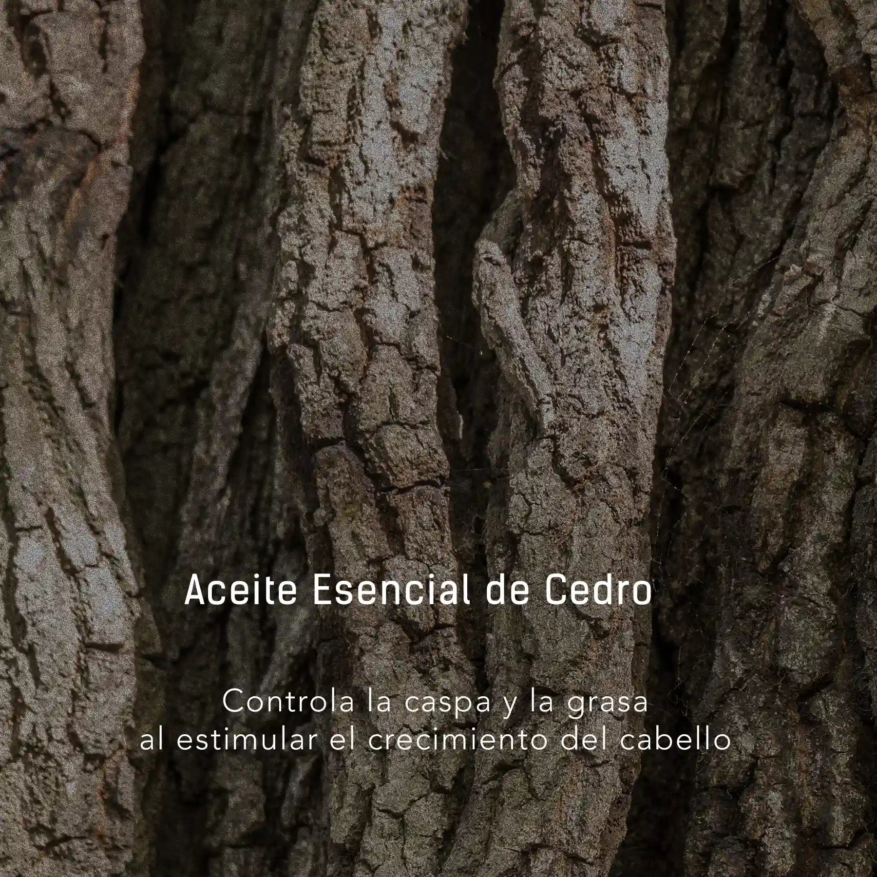 Jojoba y Romero - Aceite facial y corporal para cuidado de barba y cabello en gotero de 40 ml