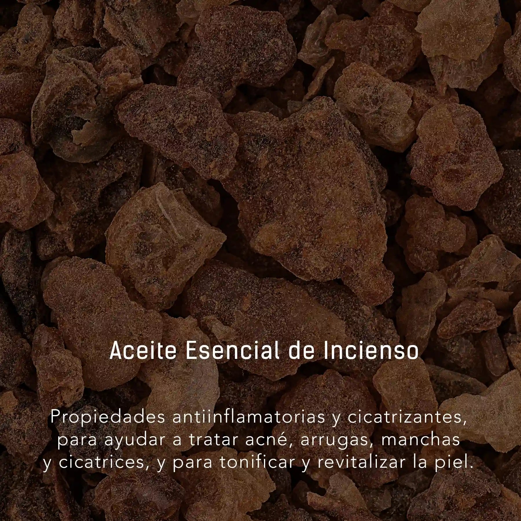 Rosa Mosqueta y Jojoba - Aceite facial y corporal para la longevidad de la piel en gotero de 40 ml