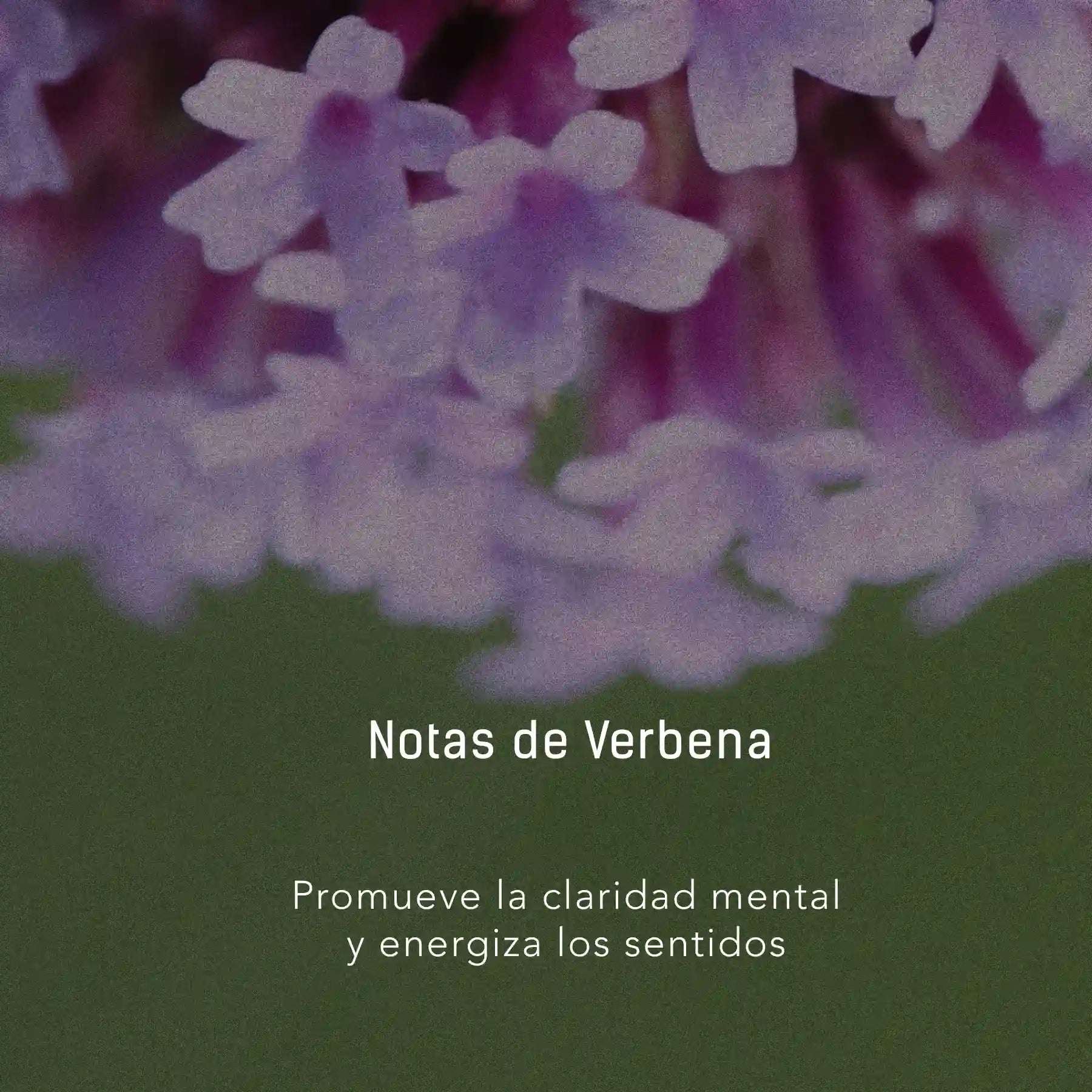 Bruma de Citronela, Verbena y Lavanda - 500 ml atomizador multi-propósito