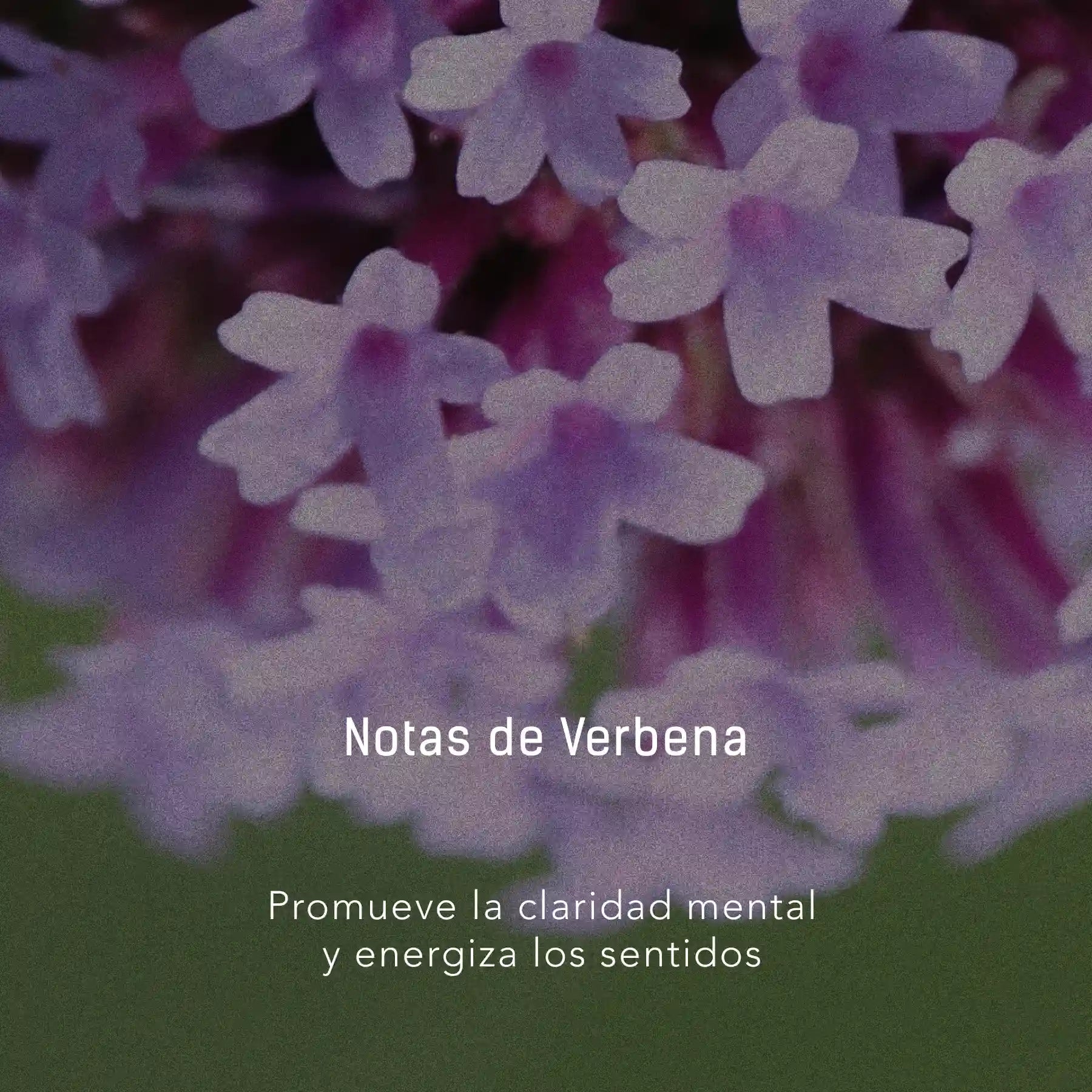 Bruma Citrus Garden y Verbena - 500 ml atomizador multi-propósito