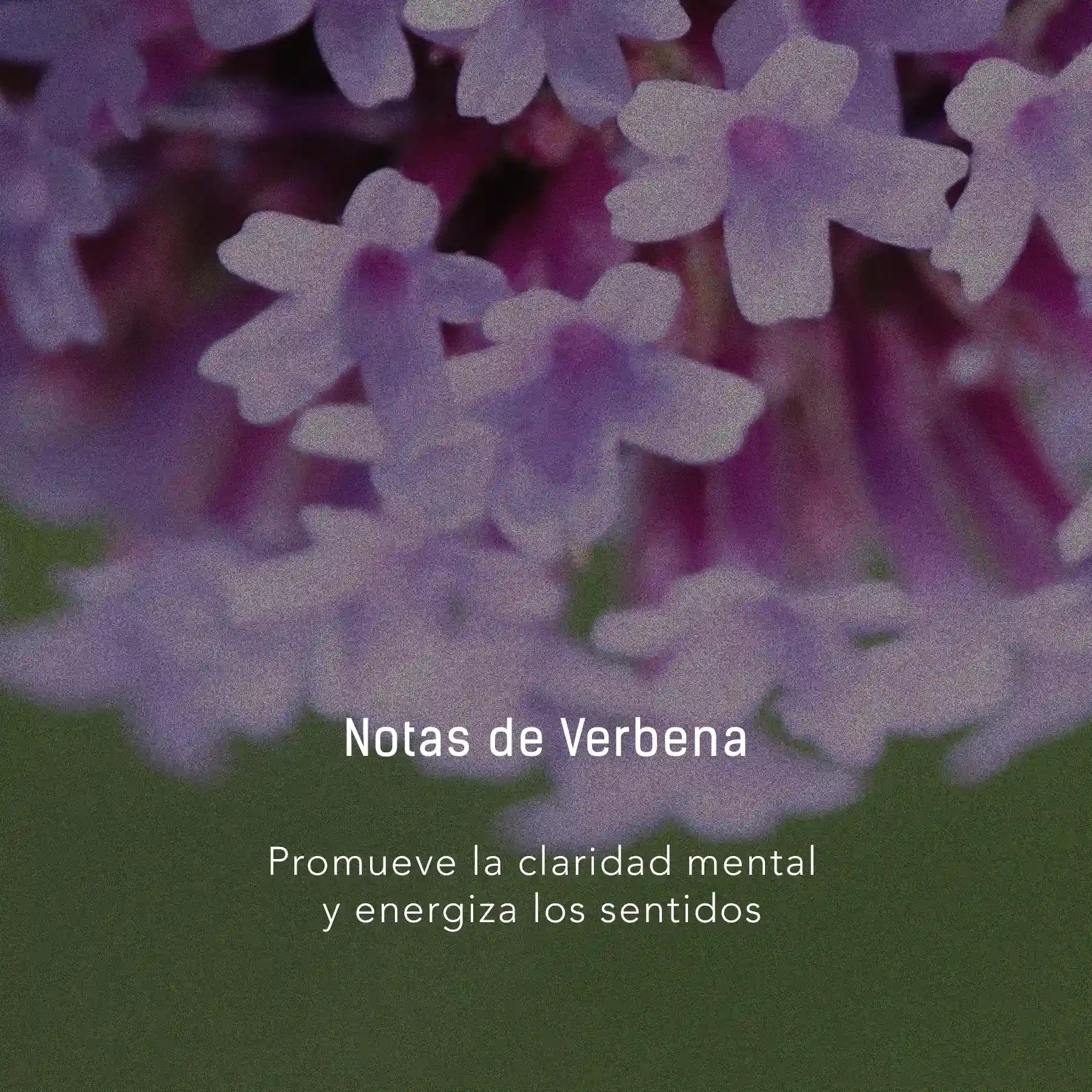 Vela de Cítricos y Verbena - Cera de soya natural
