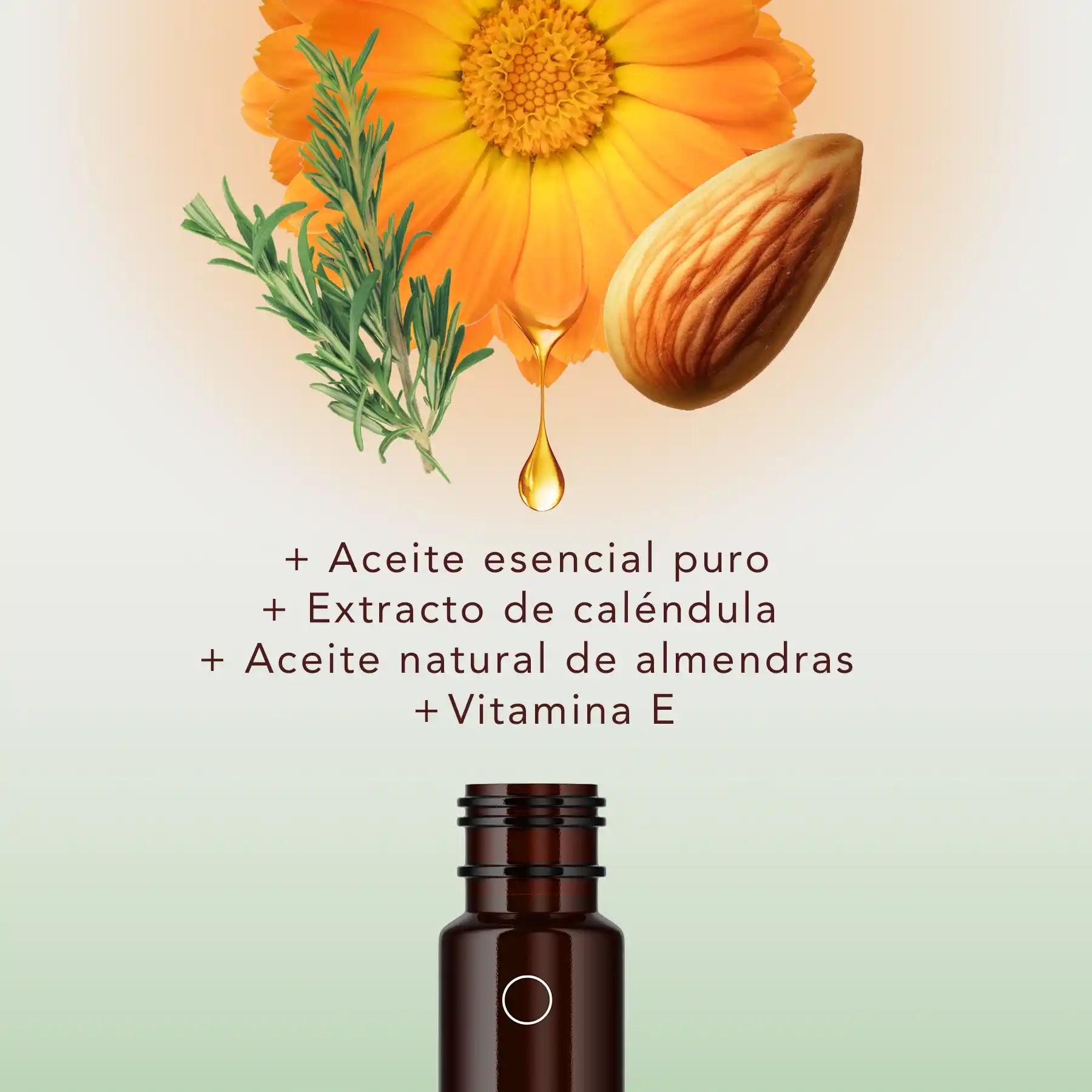 Kit para barba de 4 aceites esenciales puros en Roll-On: Cedro, Pachuli, Romero y Menta