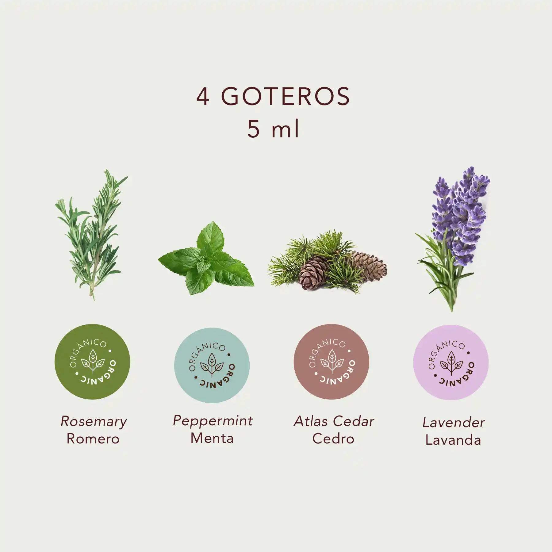 Kit de aceites esenciales para runners - 4 goteros