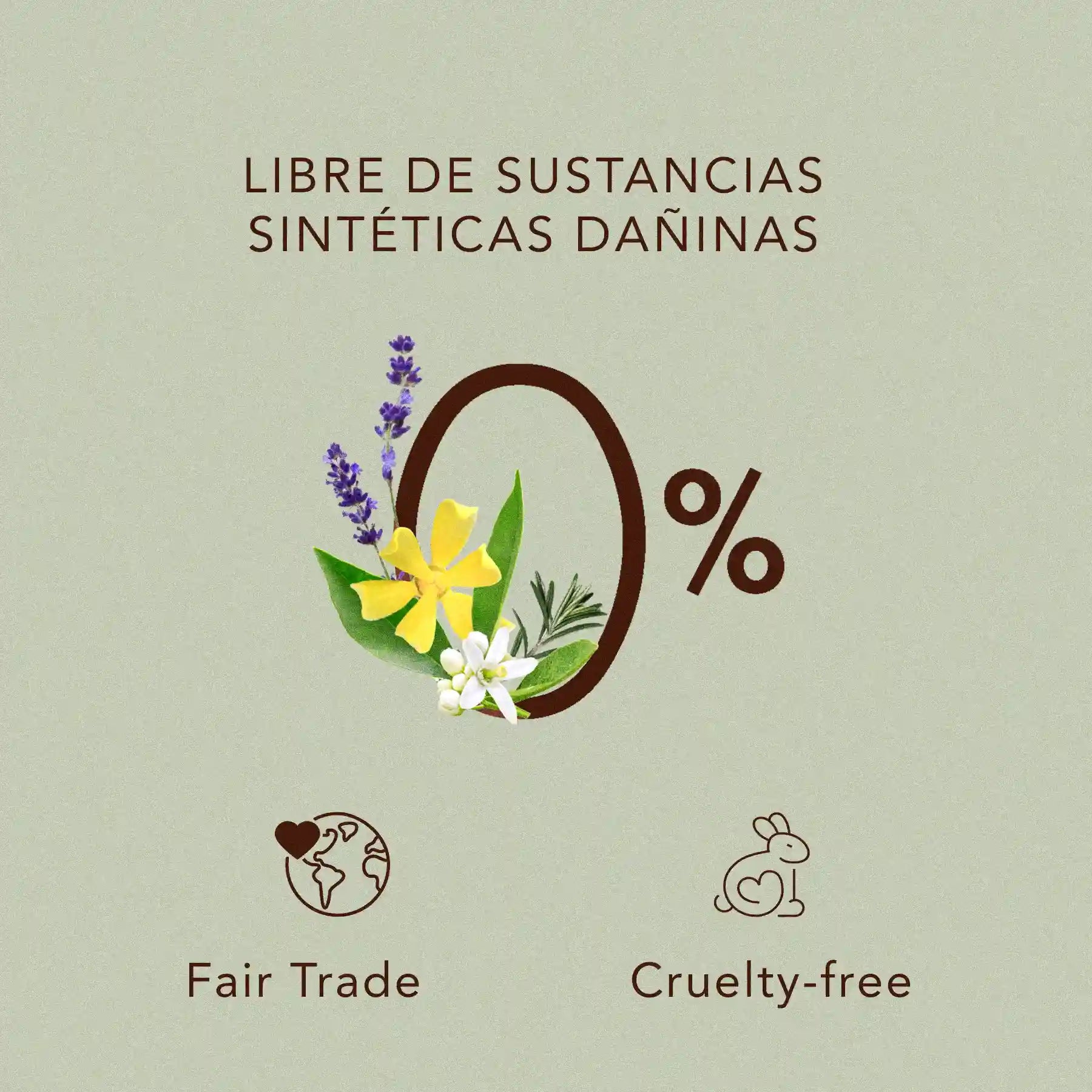 Menta Orgánica: Aceite esencial en gotero (5ml)