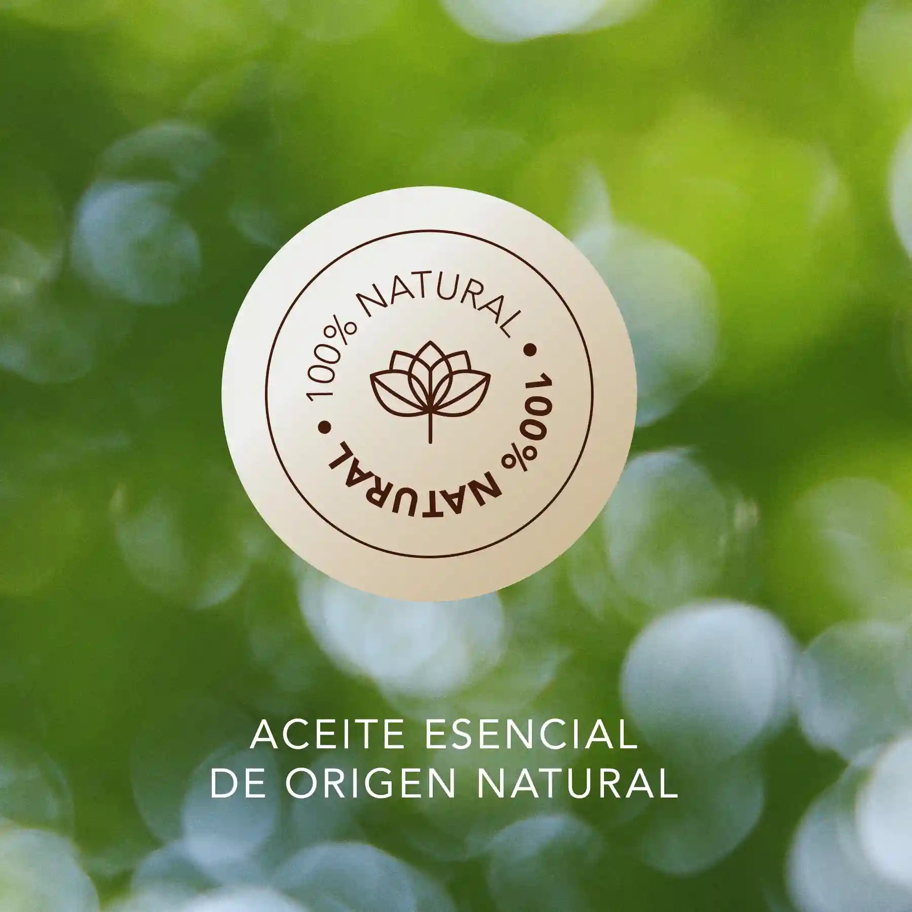 Pachuli Natural: Aceite esencial en Roll-on (10ml) con extracto de caléndula, almendras y Vitamina E, textura ligera