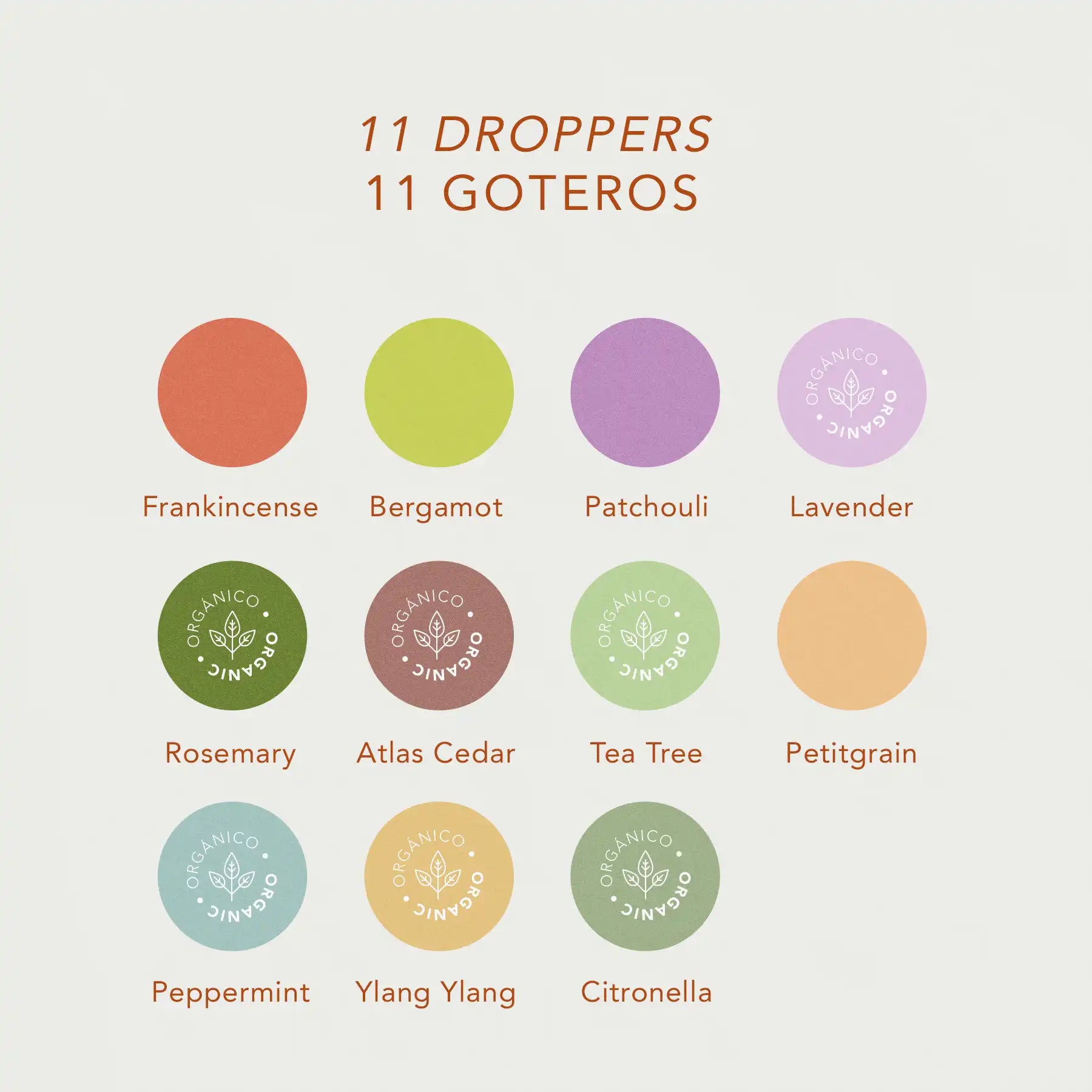 Kit de 11 aceites esenciales en gotero de 5ml puros y concentrados y 8 Roll-on con aceite esencial puro, extracto de caléndula, almendras y vitamina E