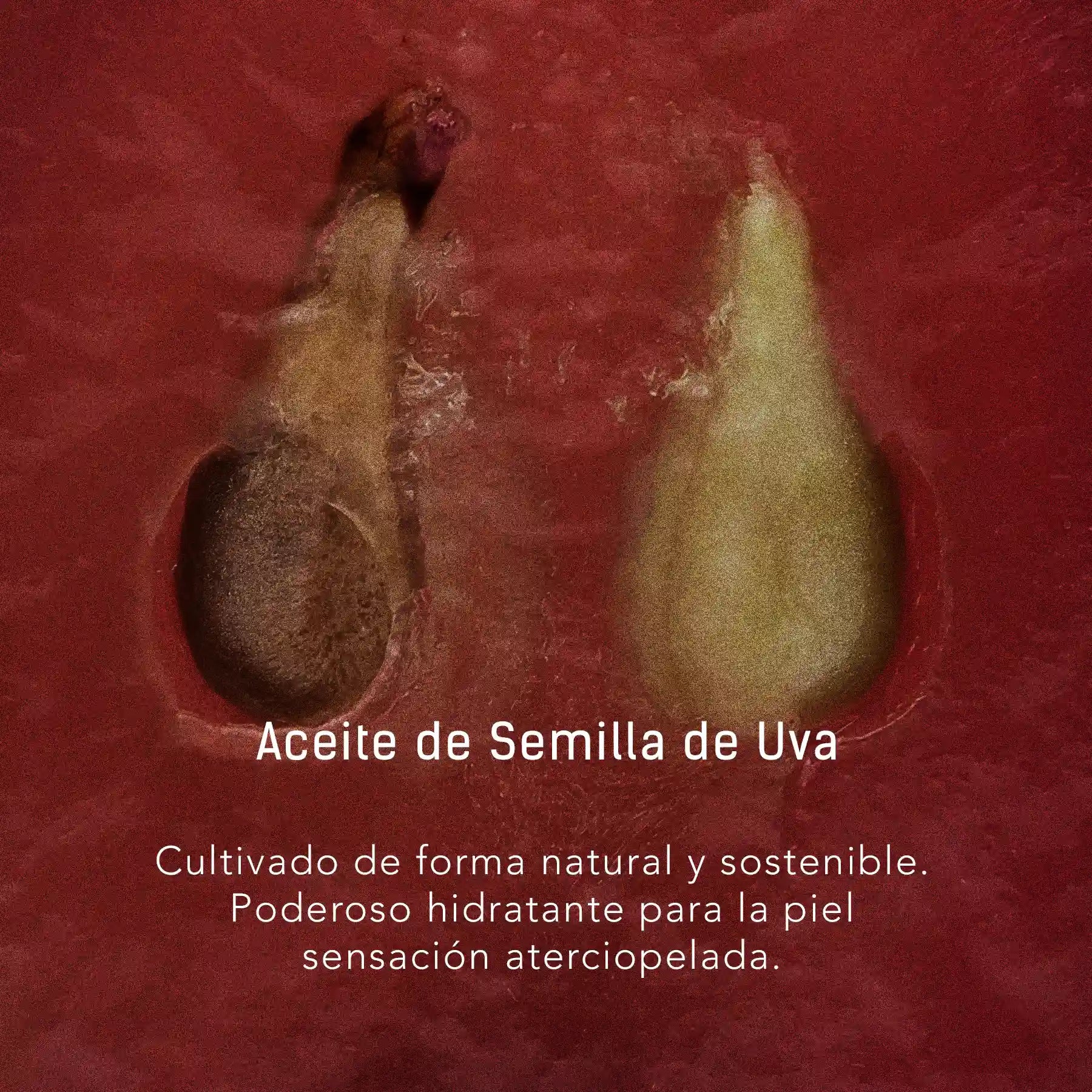 Semilla de Uva y Oro 24 K - Aceite facial y corporal para cuidado de la piel en gotero de 40 ml