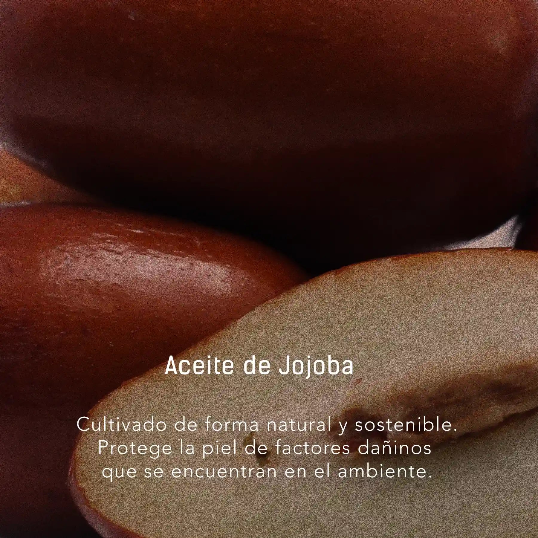 Jojoba y Rosa Mosqueta - Aceite facial y corporal para cuidado de barba y cabello en gotero de 40 ml