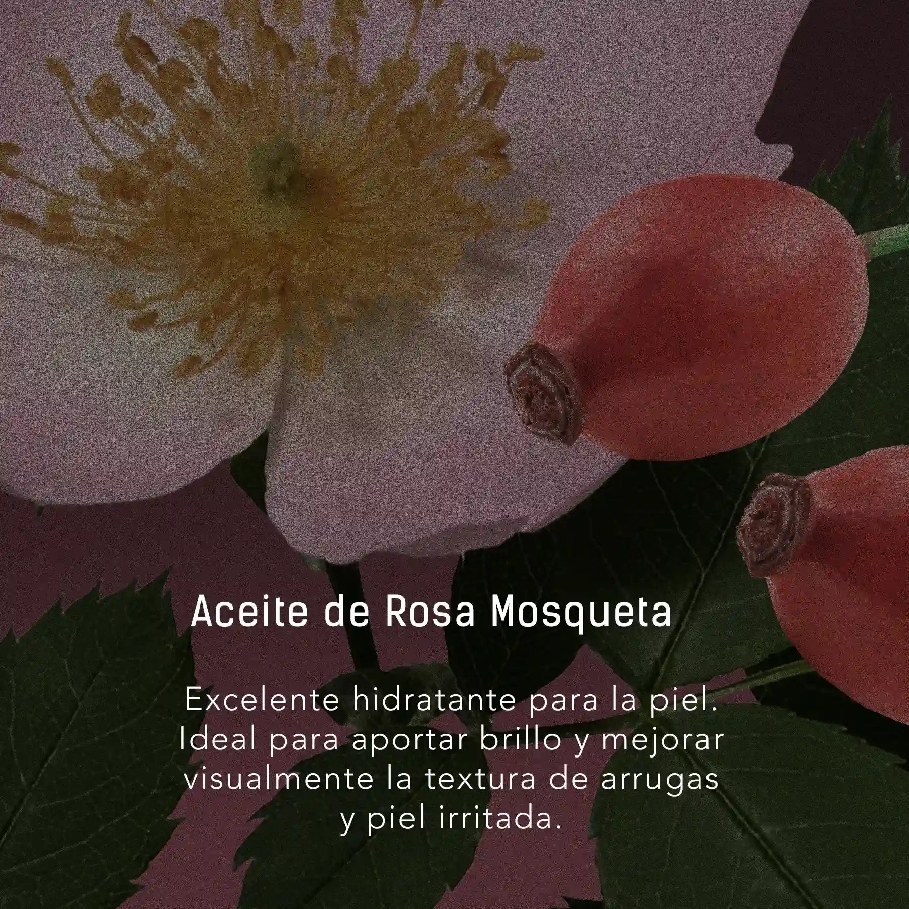 Jojoba y Rosa Mosqueta - Aceite facial y corporal para cuidado de barba y cabello en gotero de 40 ml