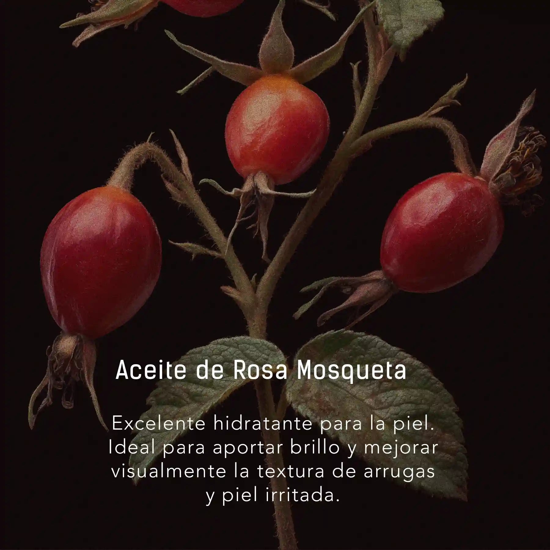 Rosa Mosqueta y Jojoba - Aceite facial y corporal para la longevidad de la piel en gotero de 40 ml