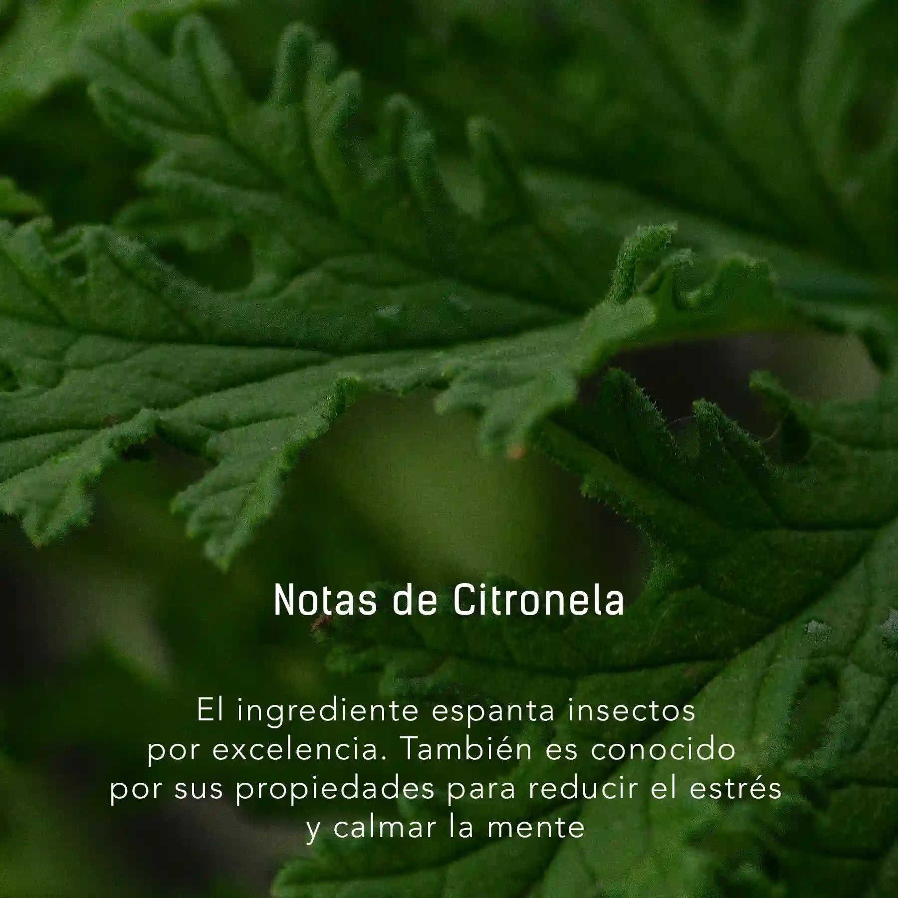 Bruma de Citronela, Verbena y Lavanda - 500 ml atomizador multi-propósito