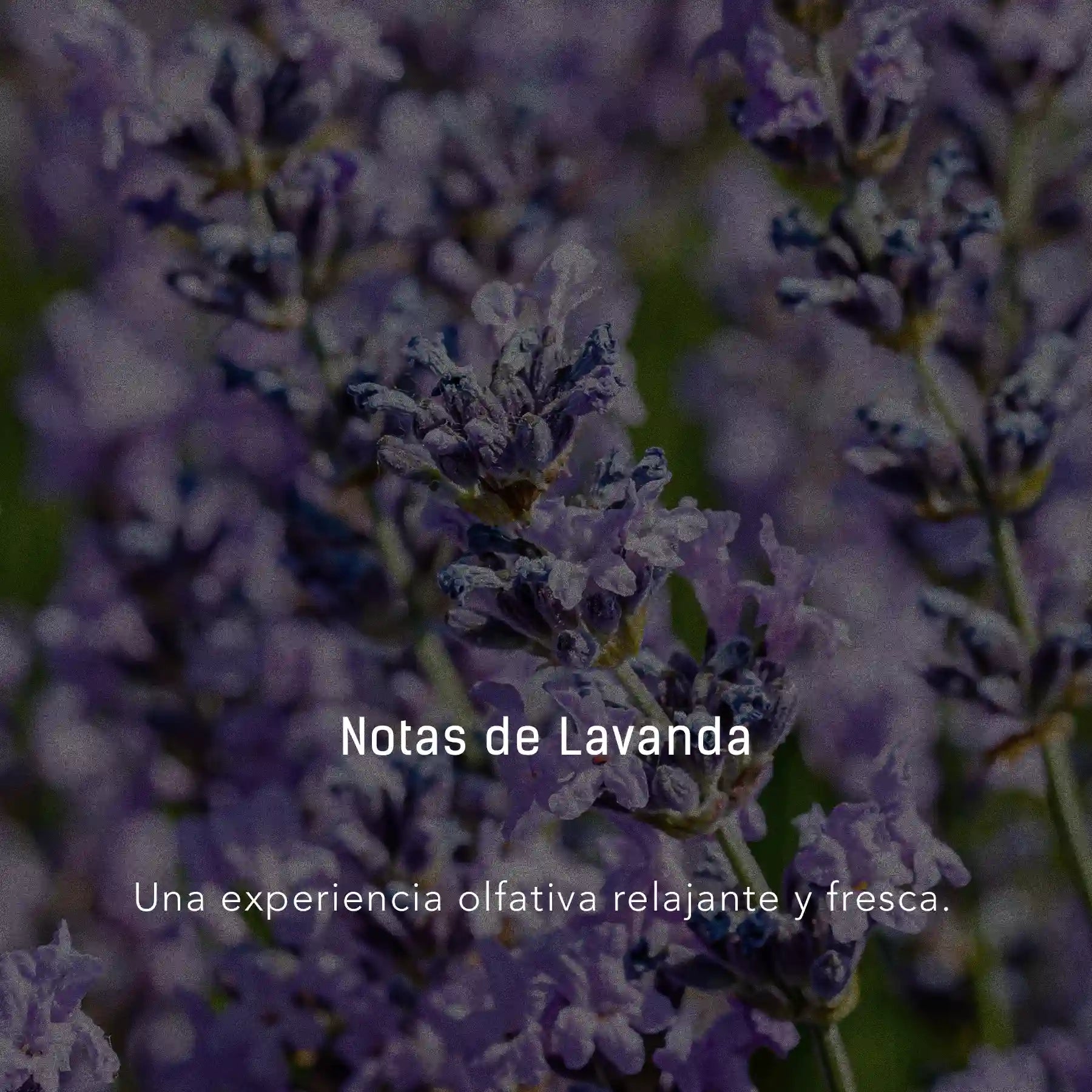 Bruma de Citronela, Verbena y Lavanda - 500 ml atomizador multi-propósito