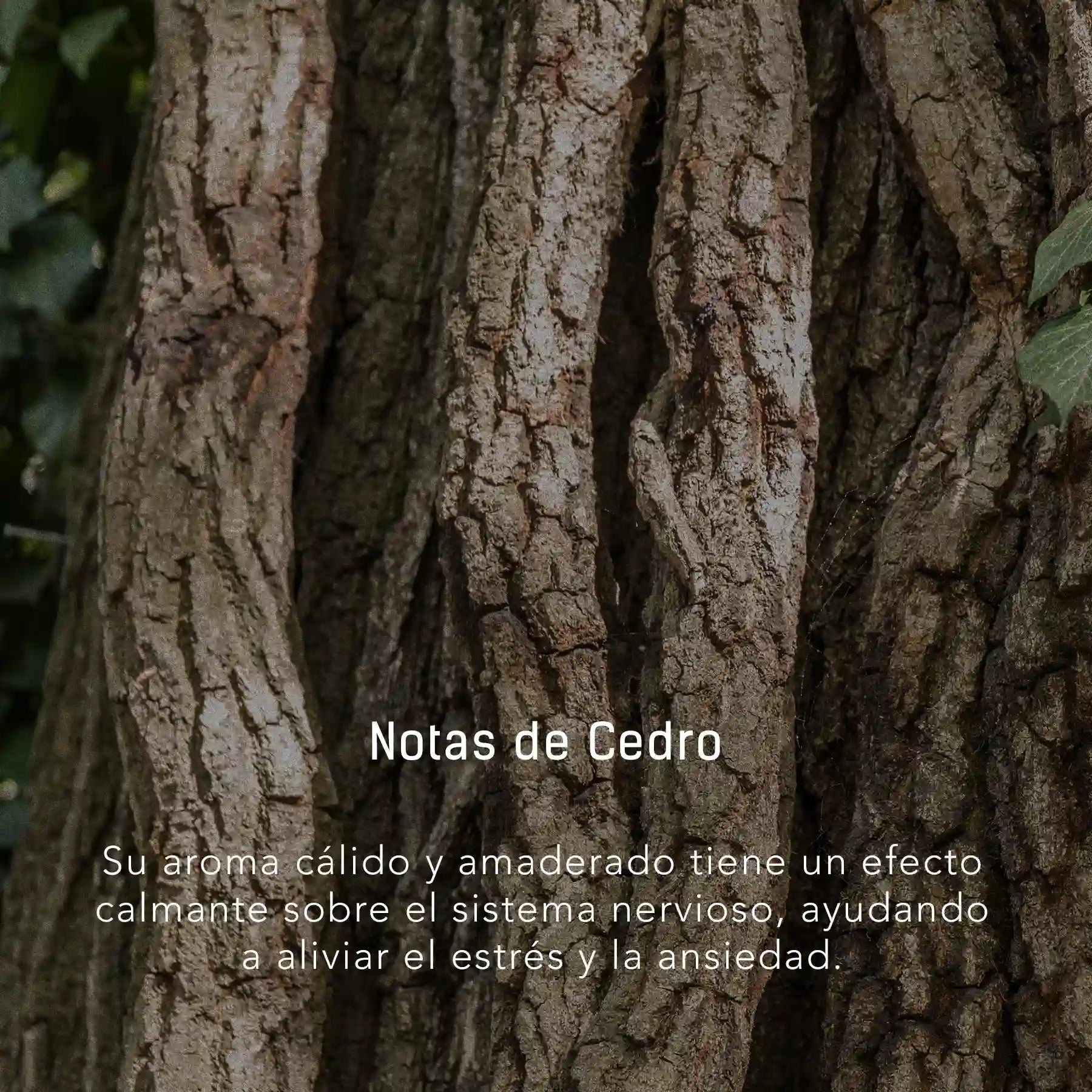 Bruma de Lavanda, Cedro y Naranja - 500 ml atomizador multi-propósito