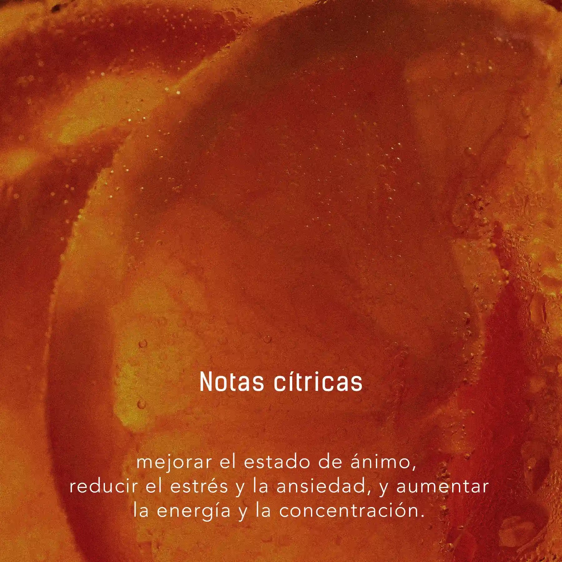 Vela de Cítricos y Verbena - Cera de soya natural