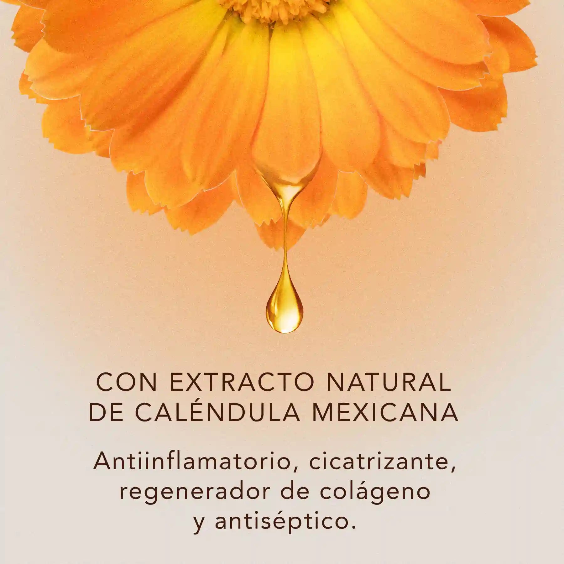 Romero Orgánico: Aceite esencial en Roll-on (10ml) con extracto de caléndula, almendras y Vitamine E, textura ligera