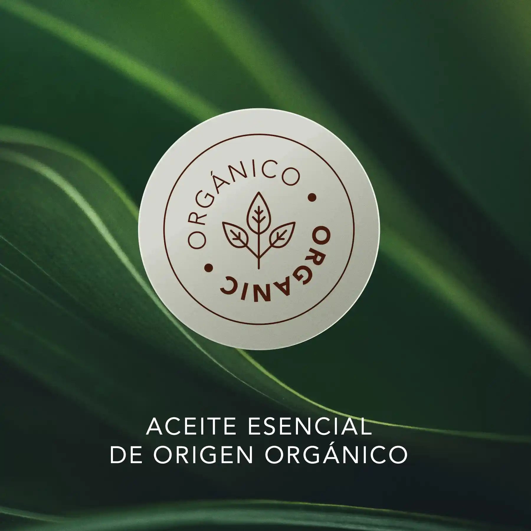 Hierba de Limón Orgánica: aceite esencial en gotero (5ml)